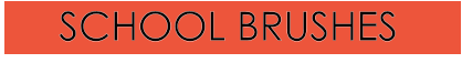 SCHOOL BRUSHES