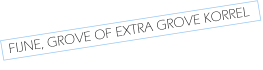FIJNE, GROVE OF EXTRA GROVE KORREL