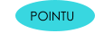 POINTU