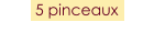5 pinceaux