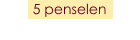 5 penselen