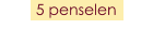 5 penselen