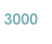 3000