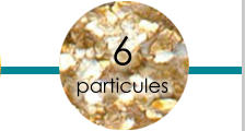 6  particules