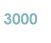 3000