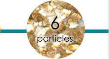 6  particles