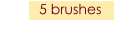 5 brushes