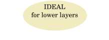 IDEAL  for lower layers