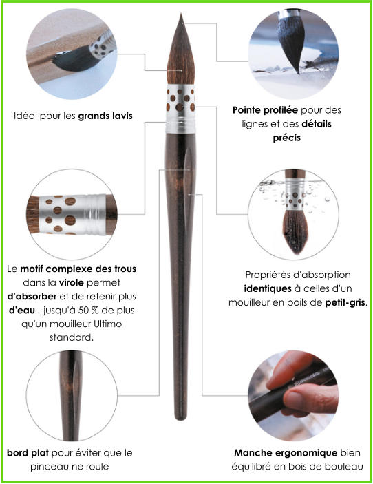 Pointe profilée pour des lignes et des détails précis Idéal pour les grands lavis Le motif complexe des trous dans la virole permet d'absorber et de retenir plus d'eau - jusqu'à 50 % de plus qu'un mouilleur Ultimo standard. Propriétés d'absorption identiques à celles d'un mouilleur en poils de petit-gris. Manche ergonomique bien équilibré en bois de bouleau  bord plat pour éviter que le pinceau ne roule