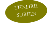 TENDRE SURFIN