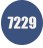 7229