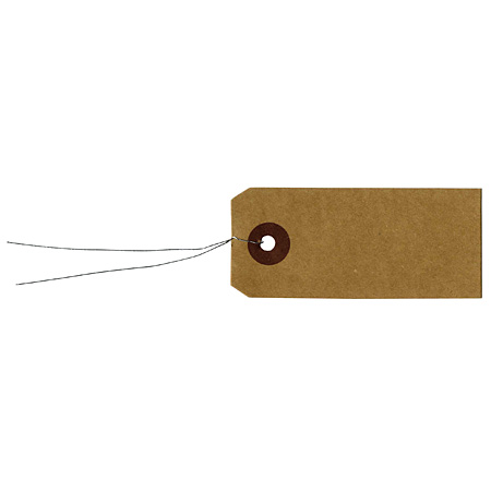 Artémio Paquet d'étiquettes cadeau avec fil en métal - 9x4cm