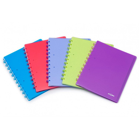 Atoma Perforated - refillable notebook - clear PP cover - 120 micro-perforated pages & 5 sleeves - 24,5x31cm - square (5x5)