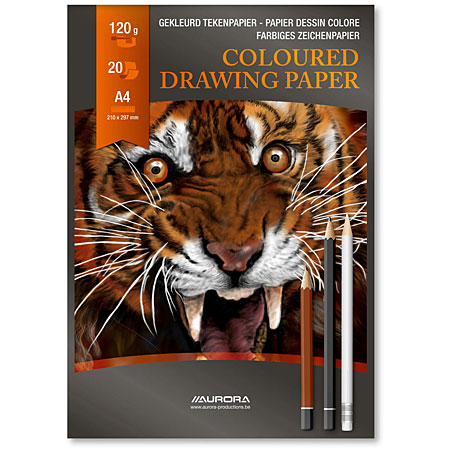 Aurora Raphaël - blok gekleurd papier - 20 vellen - 10 geassorteerde kleuren