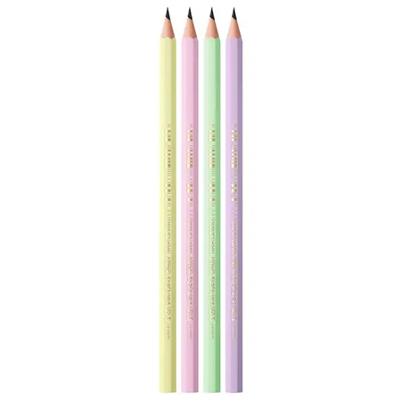 Bic Evolution Pastel - crayon graphite - HB
