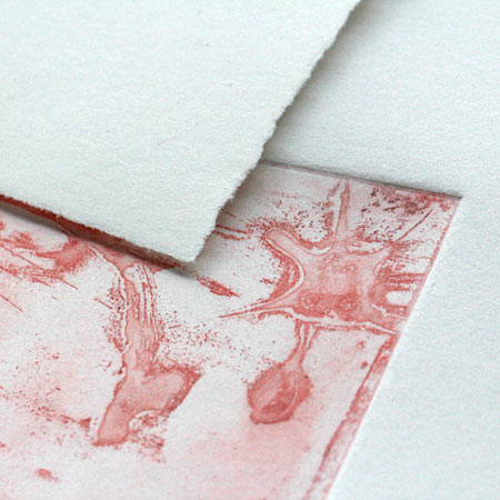 Clairefontaine Fleur de Coton - papier gravure 100% coton - feuille 250g/m²