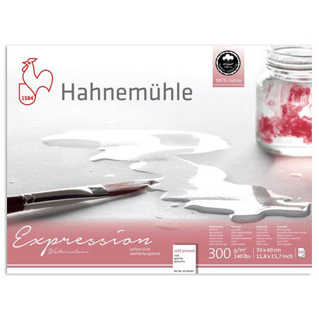 Hahnemuhle Fine Art Expression - bloc aquarelle - 20 feuilles 100% coton - 300g/m² - collé 4 côtés - grain fin
