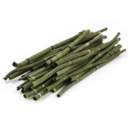 Kremer Prêle des champs