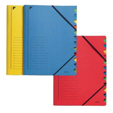 Leitz Part File - cardboard with elastic bands - 24.5 x 32cm
