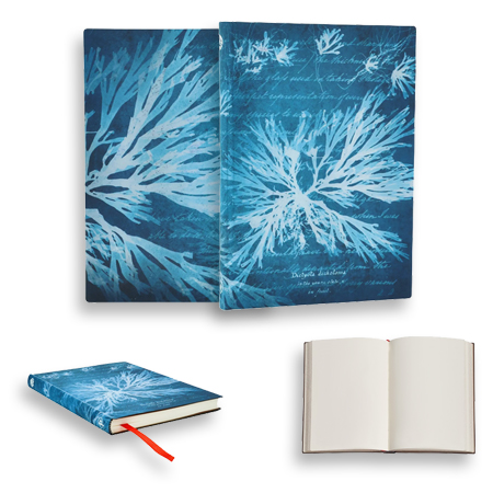 Paperblanks Anna Atkins "Fleurs Marines" - carnet d'écriture - couverture souple cousue - 176 pages - 100g/m² - 12x17.5cm - uni