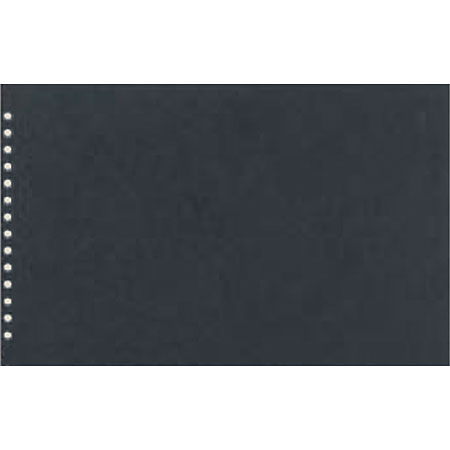 Prat Polyester 508I - paquet de 10 pochettes transparentes en polyester - perforées - avec feuillets noirs - format paysage