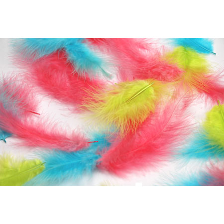 Rayher Bag of 10 decorative feathers - 8cm