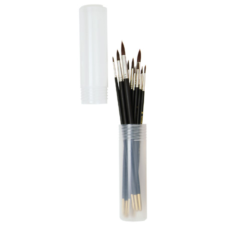 Schleiper Telescopic plastic case - assorted long handled brushes - synthetic fibres - round (2046)