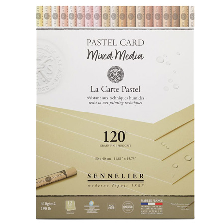 Sennelier La Carte Pastel - pastel & mixed media pad - 12 sheets 410g/m² - 30x40cm - fine grit - naples yellow