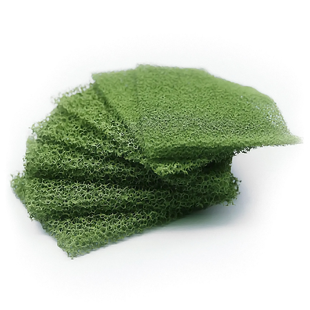 Schulcz Plant Foam - 500x250mm - green