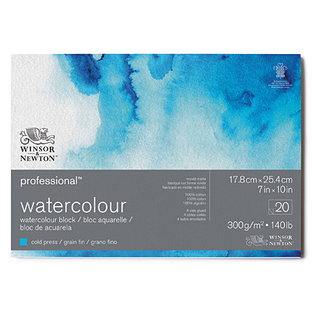 Winsor & Newton Professional Watercolour - bloc aquarelle - 20 feuilles 100% coton - 300g/m² - collé 4 côtés